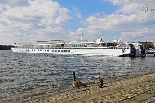 MS Elbe Princesse II